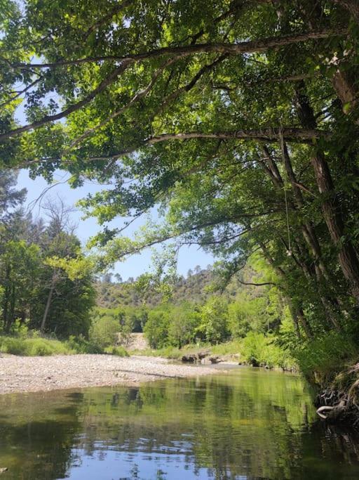 Gite Et Jardin En Bord De Riviere Saumane Eksteriør bilde