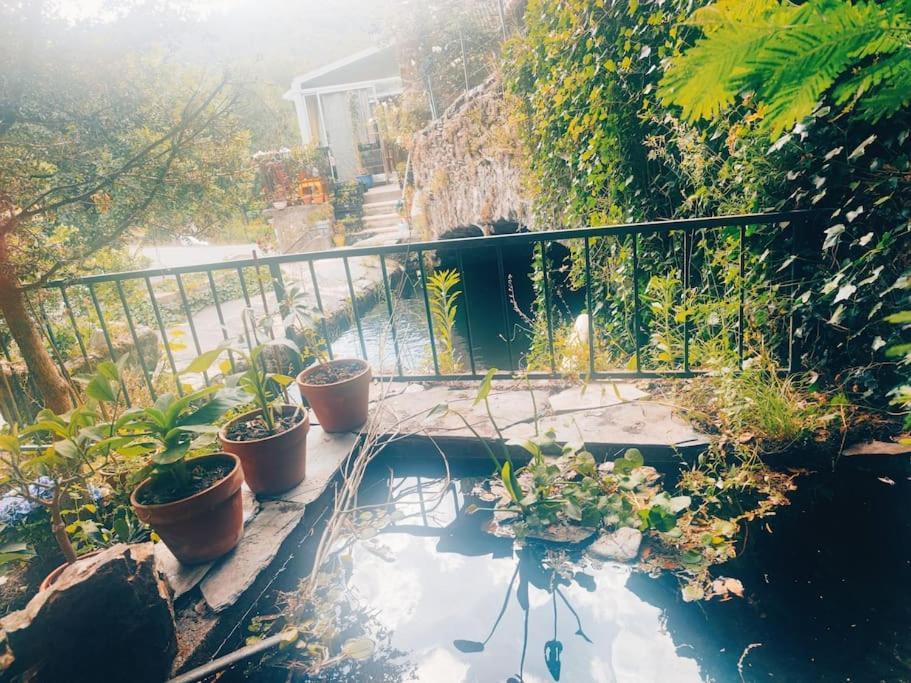 Gite Et Jardin En Bord De Riviere Saumane Eksteriør bilde