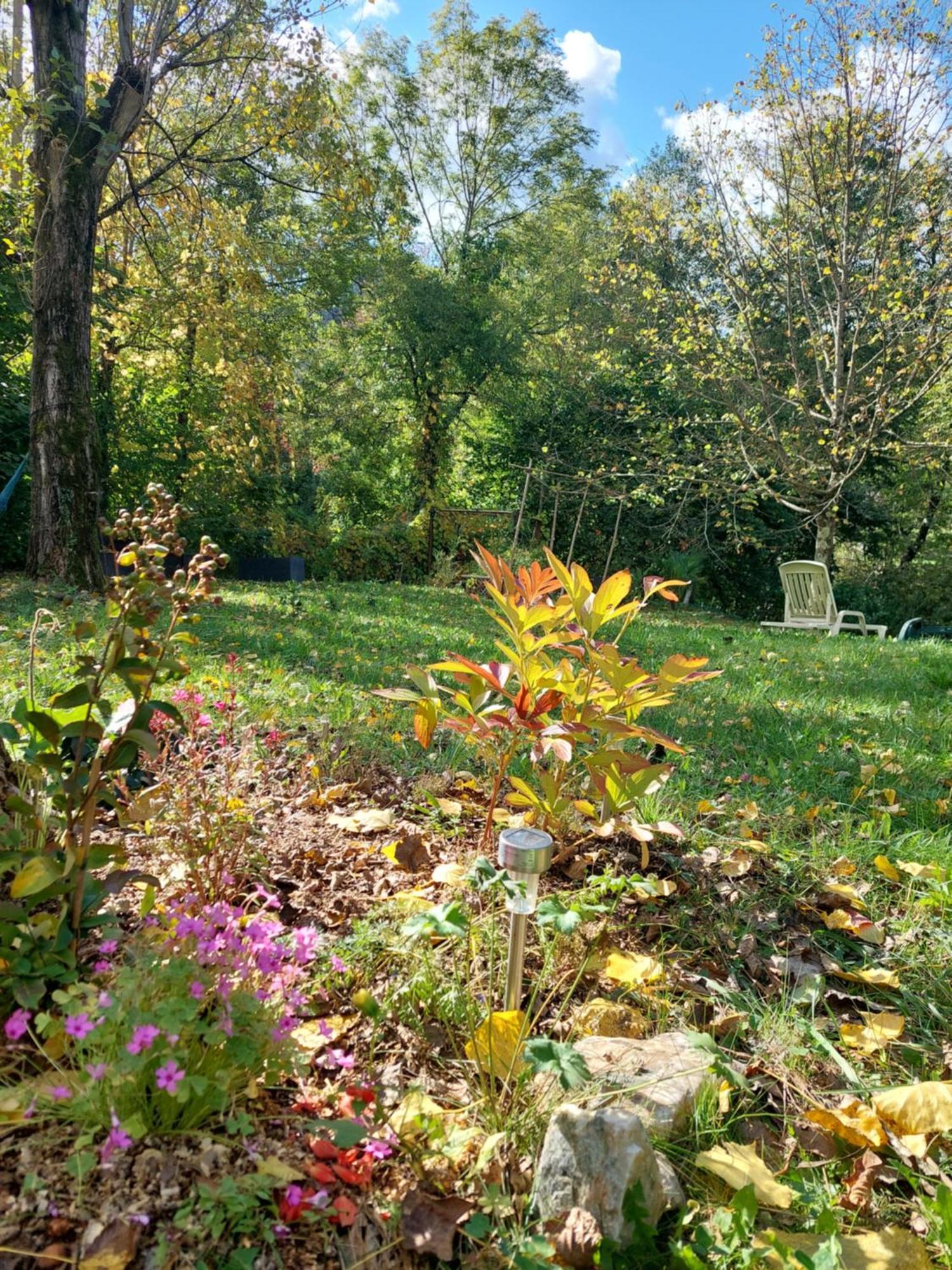 Gite Et Jardin En Bord De Riviere Saumane Eksteriør bilde
